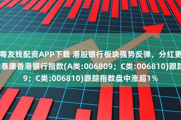粤友钱配资APP下载 港股银行板块强势反弹,分红更高,波动率更低的泰康香港银行指数(A类:006809;C类:006810)跟踪指数盘中涨超1%