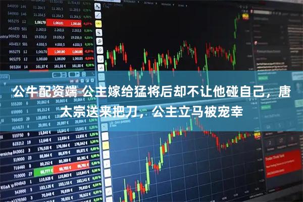 公牛配资端 公主嫁给猛将后却不让他碰自己，唐太宗送来把刀，公主立马被宠幸